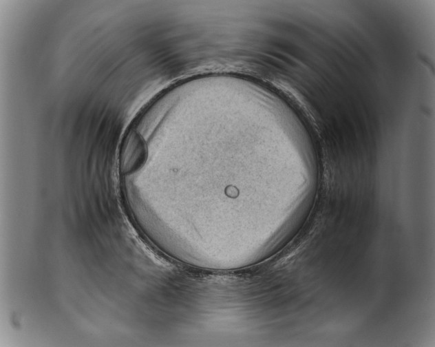 X0000099410894200806060929