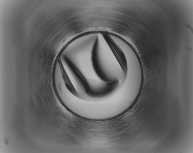 X0000099410895200806060929