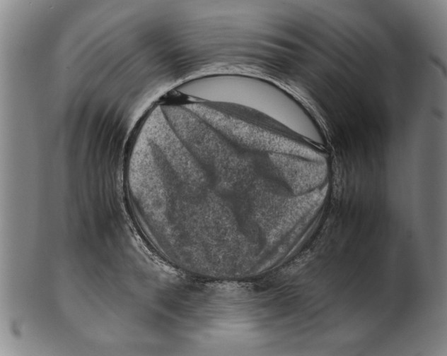 X0000099410896200806060929