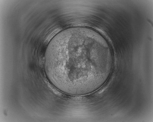 X0000099410897200806060929