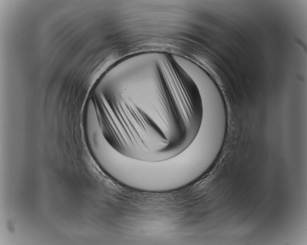 X0000099410899200806060929