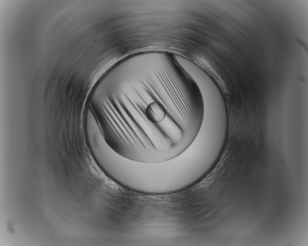 X0000099410900200806060929