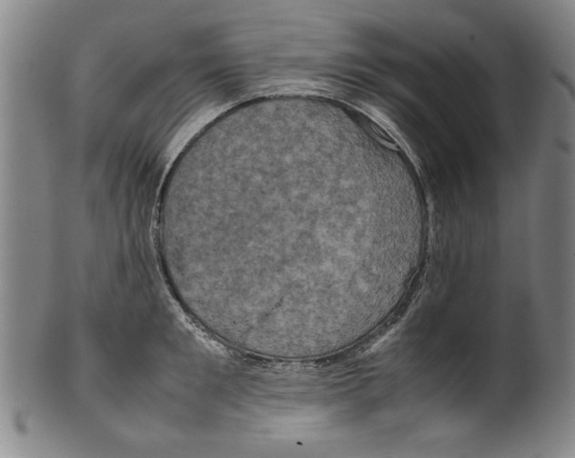 X0000099410901200806060929