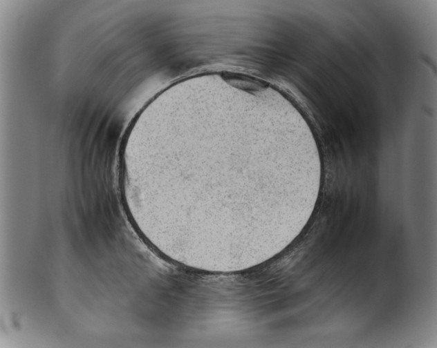 X0000099410902200806060929