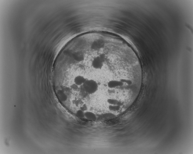 X0000099410903200806060929