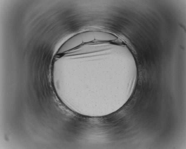 X0000099410904200806060929