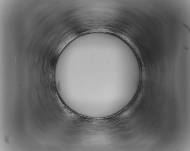 X0000099410905200806060929