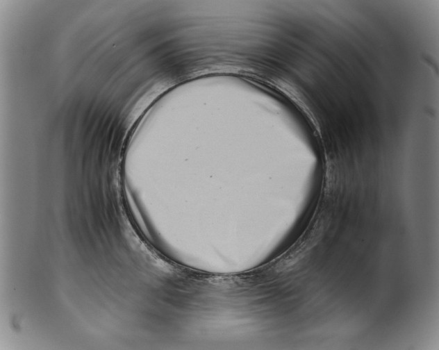 X0000099410906200806060929