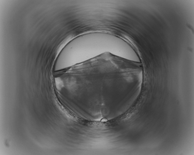 X0000099410907200806060929