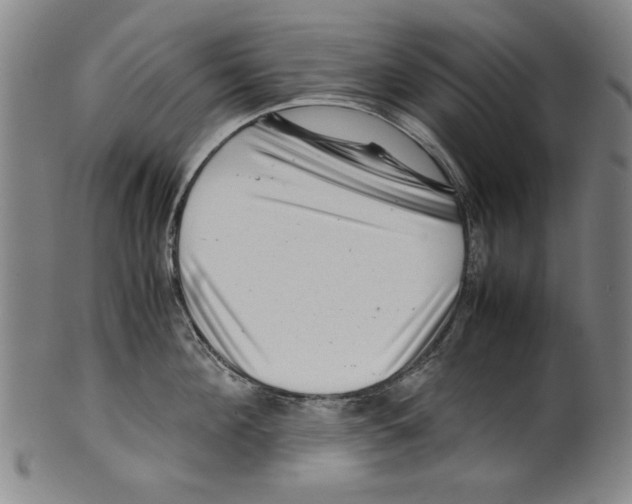 X0000099410908200806060929