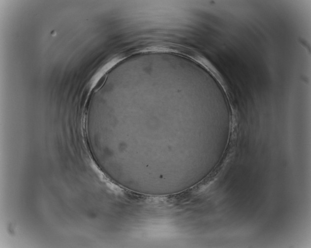 X0000099410909200806060929