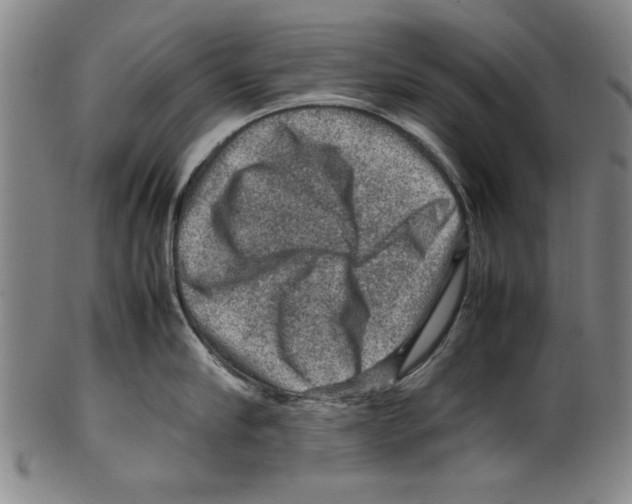 X0000099410910200806060929