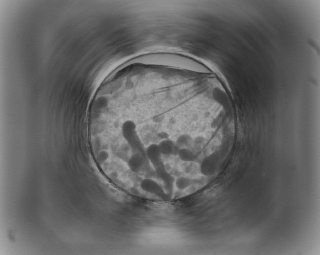 X0000099410911200806060929