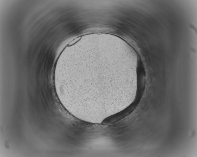 X0000099410912200806060929