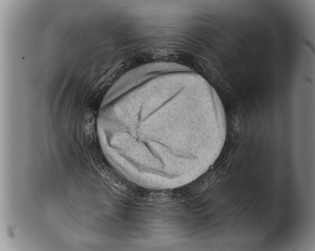 X0000099410914200806060928