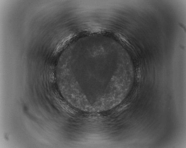 X0000099410916200806060928