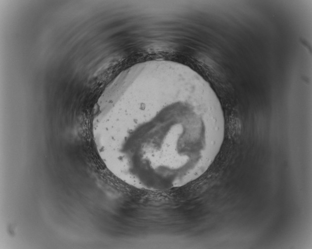 X0000099410917200806060928