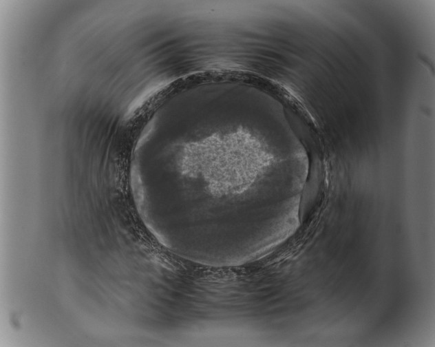 X0000099410919200806060928