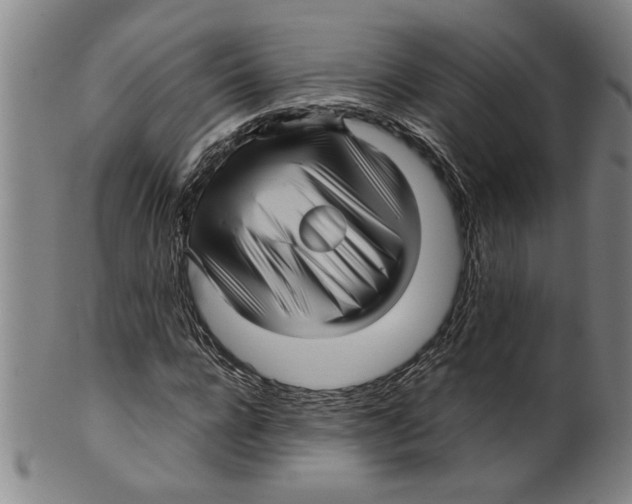 X0000099410920200806060928