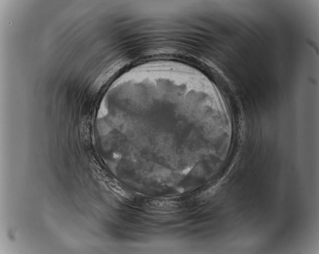 X0000099410921200806060928