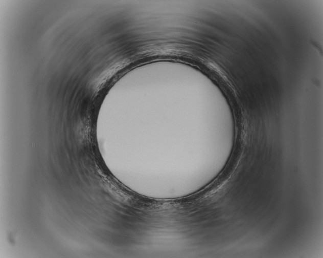 X0000099410922200806060928