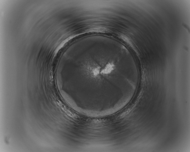 X0000099410923200806060928