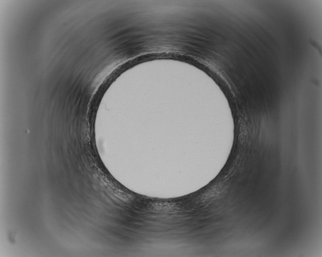 X0000099410927200806060928