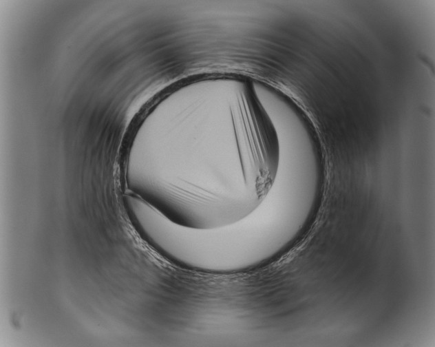 X0000099410928200806060928