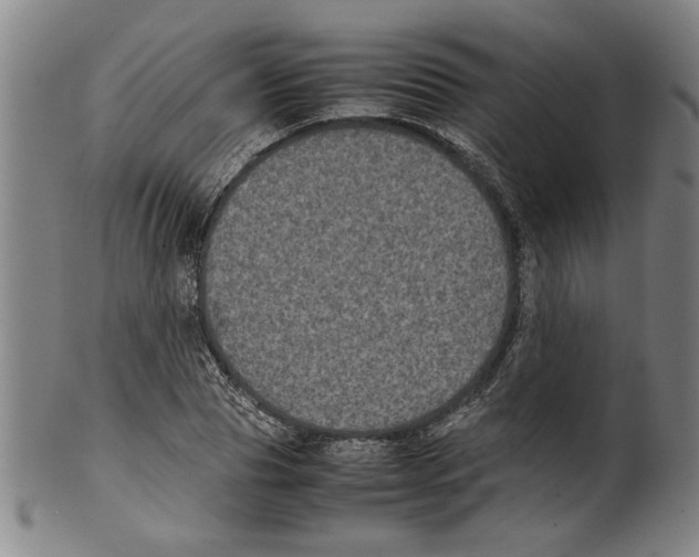 X0000099410929200806060928