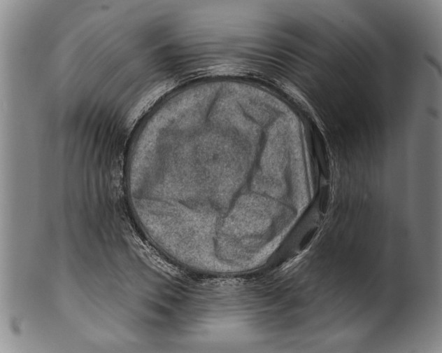 X0000099410930200806060928