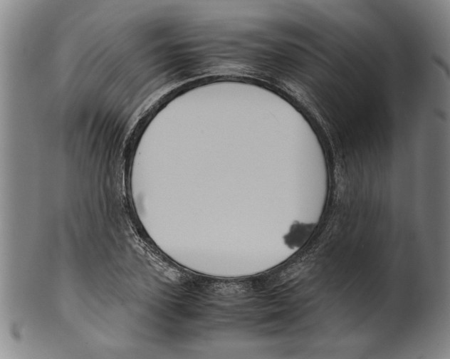 X0000099410931200806060928