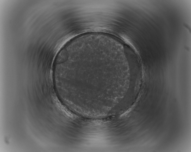 X0000099410932200806060928