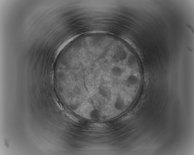 X0000099410933200806060928