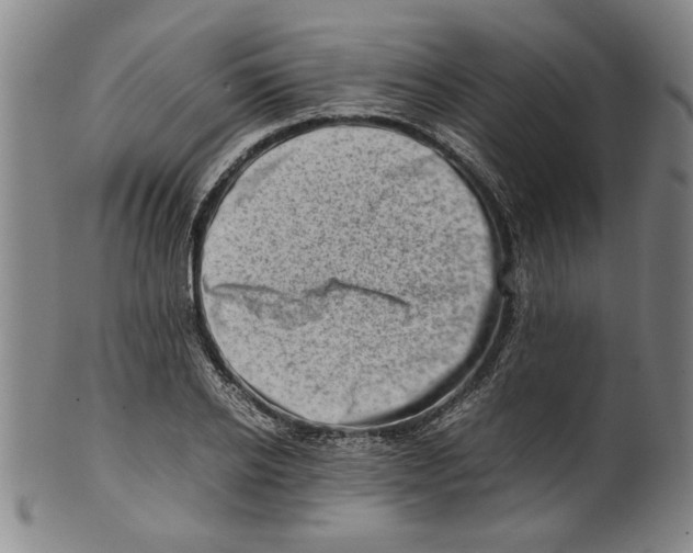 X0000099410934200806060928