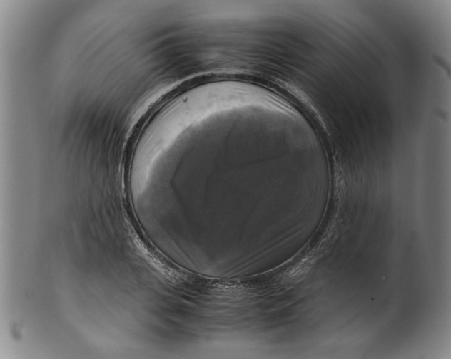 X0000099410935200806060928