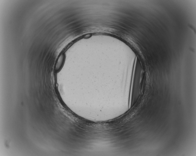 X0000099410936200806060928