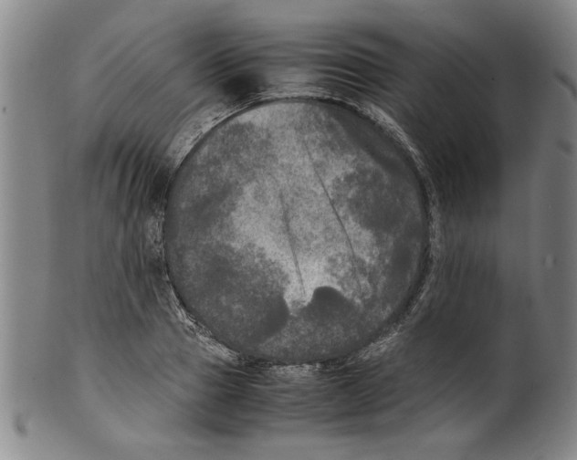 X0000099410937200806060928