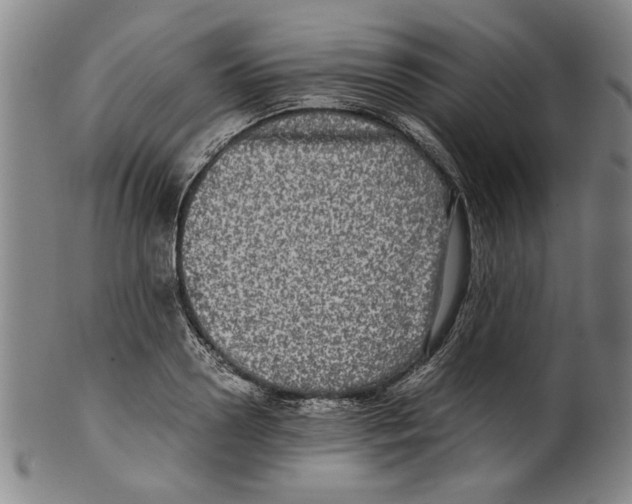 X0000099410938200806060928