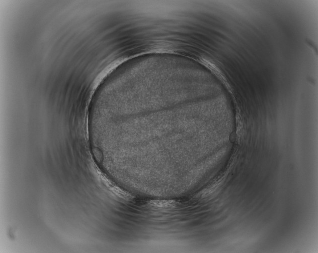 X0000099410939200806060928