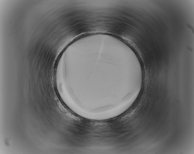 X0000099410941200806060928