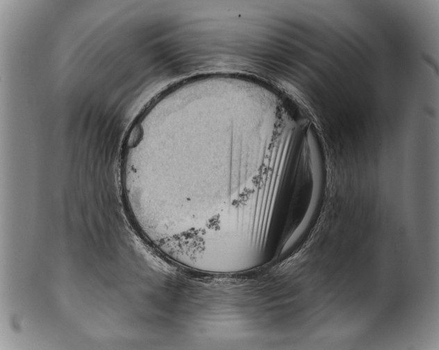 X0000099410942200806060928