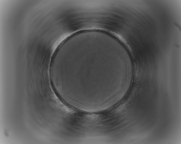 X0000099410943200806060928