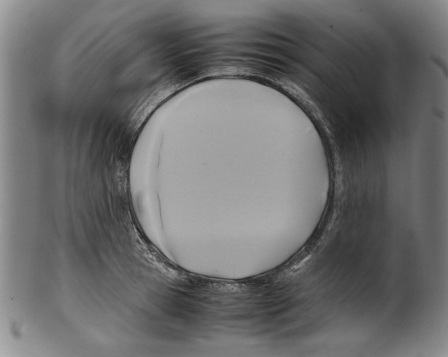 X0000099410945200806060928