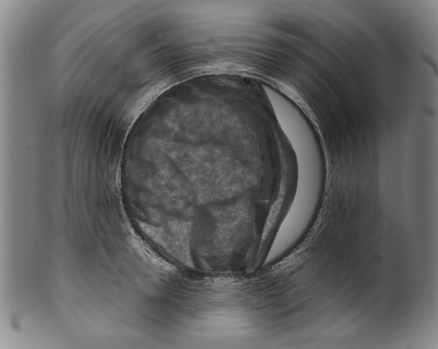 X0000099410946200806060928