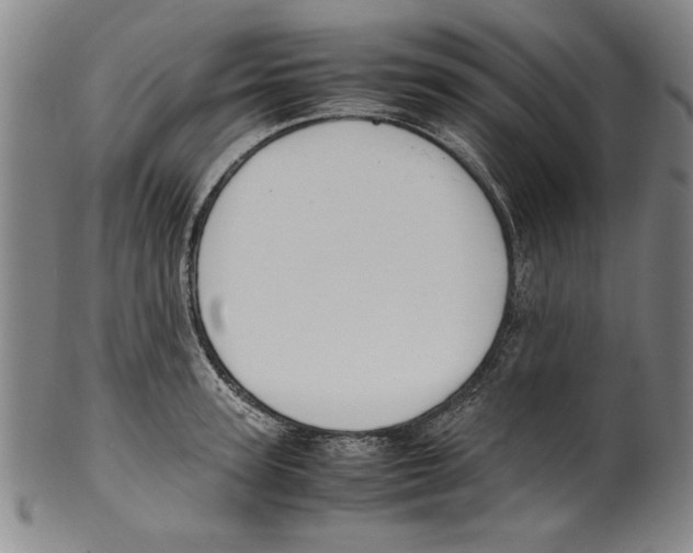 X0000099410947200806060928