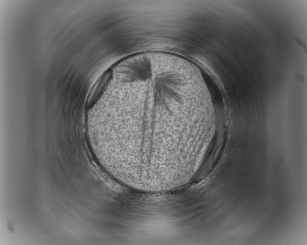 X0000099410948200806060928
