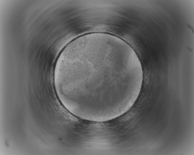 X0000099410950200806060928