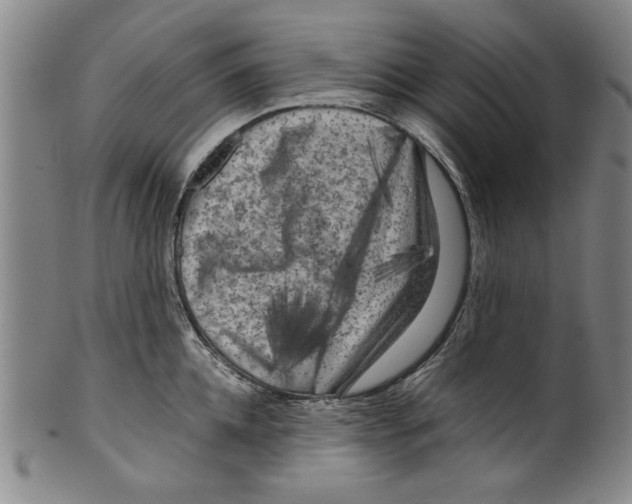 X0000099410952200806060929