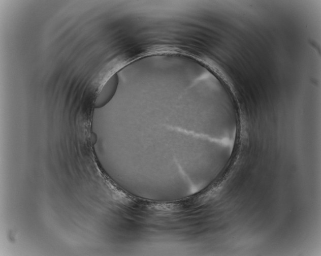 X0000099410953200806060929