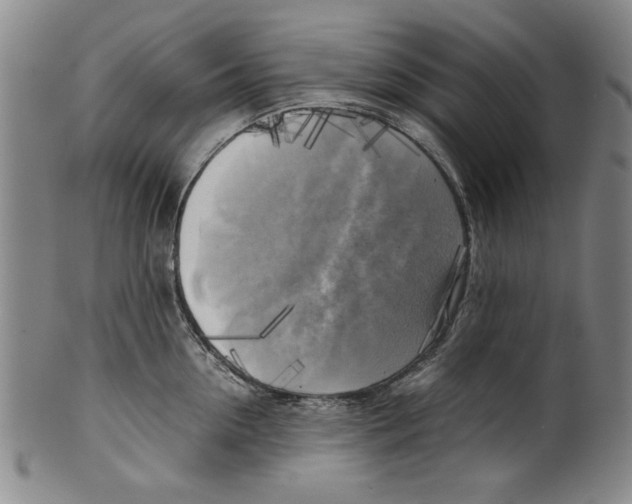 X0000099410954200806060929